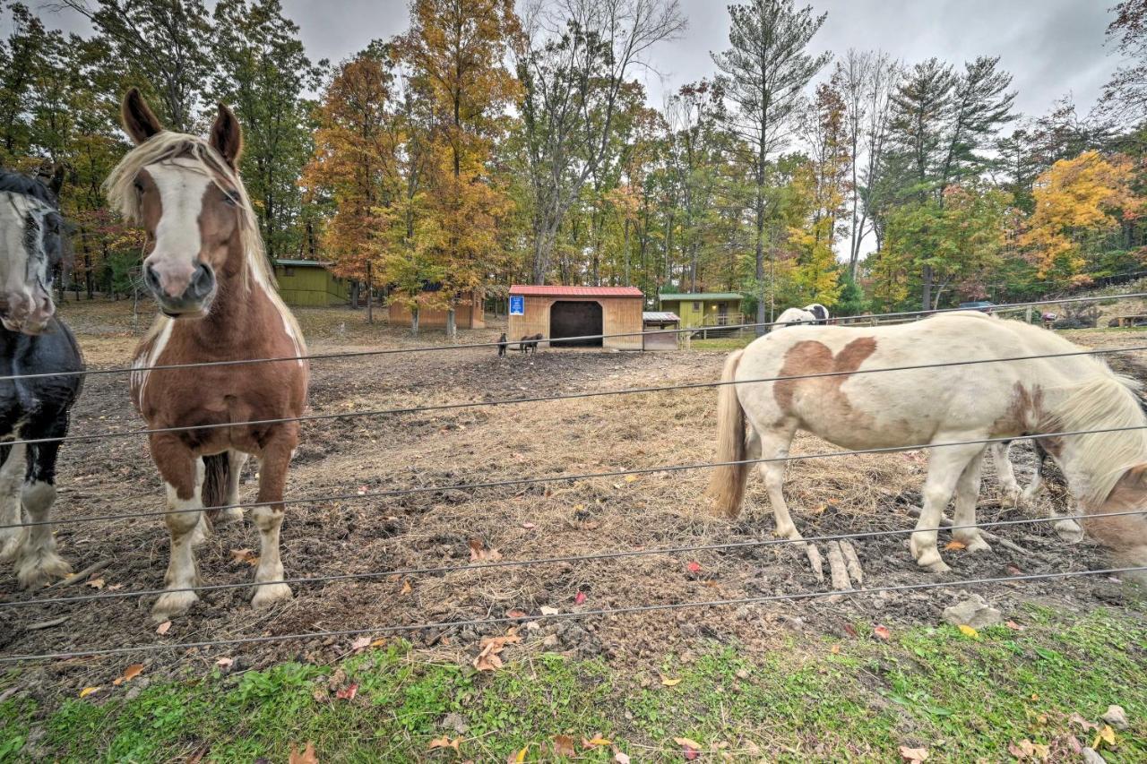 John Wayne Apartment - Deck, Bbq, Horses On-Site Huntingdon Dış mekan fotoğraf