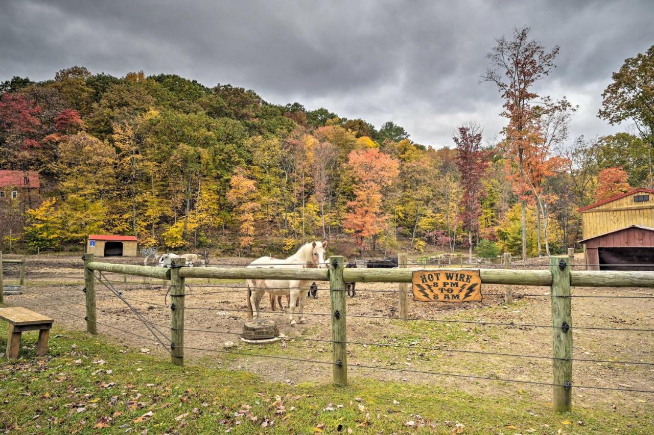 John Wayne Apartment - Deck, Bbq, Horses On-Site Huntingdon Dış mekan fotoğraf
