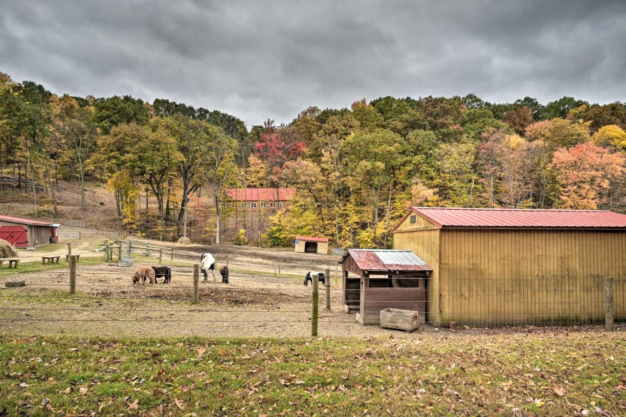 John Wayne Apartment - Deck, Bbq, Horses On-Site Huntingdon Dış mekan fotoğraf